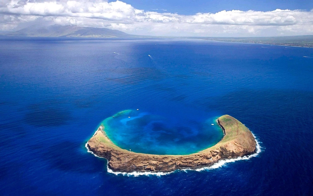 1 nouvelle collection TAAF